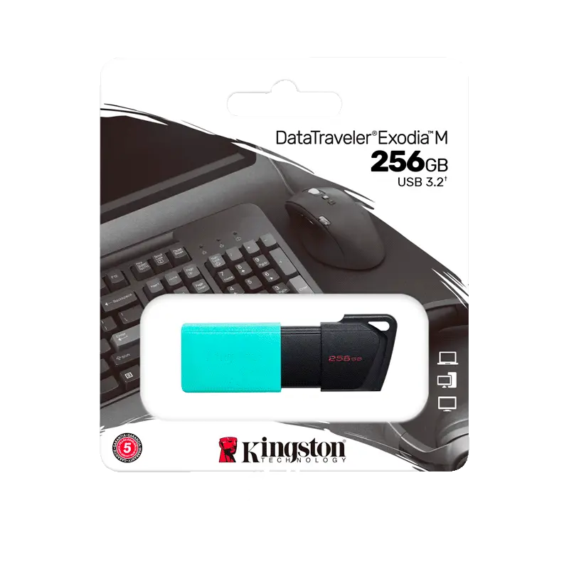 Kingston DataTraveler Exodia M 256GB - USB 3.2 Flash Drive